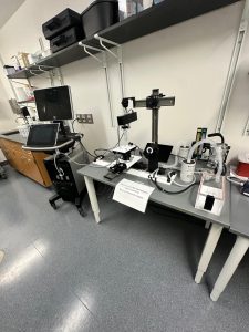 Vevo F2 System